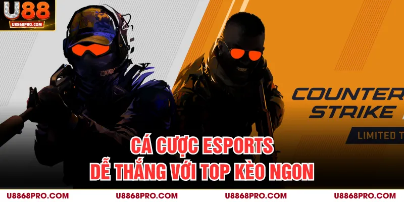 Cá cược Esports dễ thắng với top kèo ngon